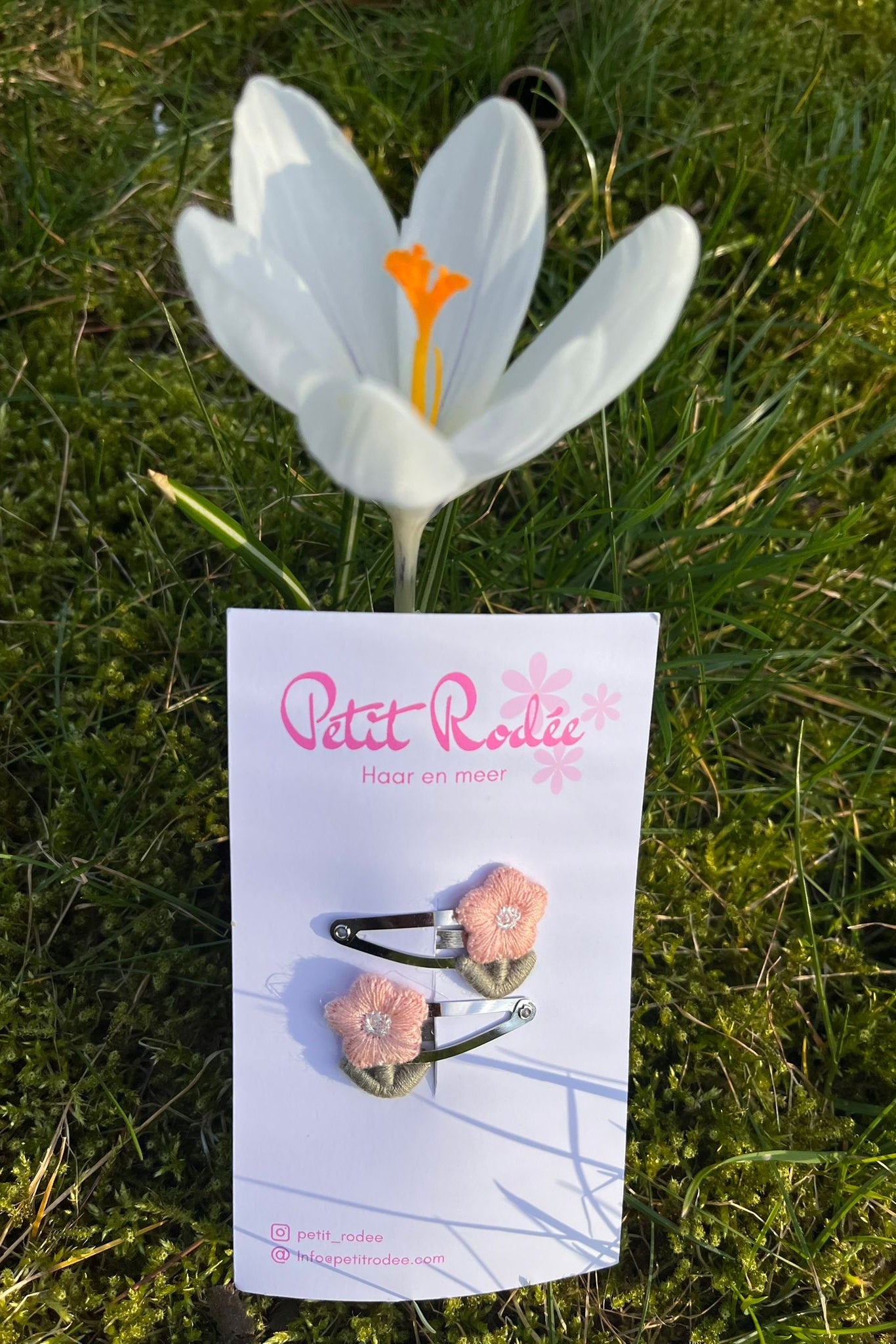 Haarspeldjes - Isabel